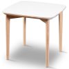 Sm 240 Square Table Top by Skovby