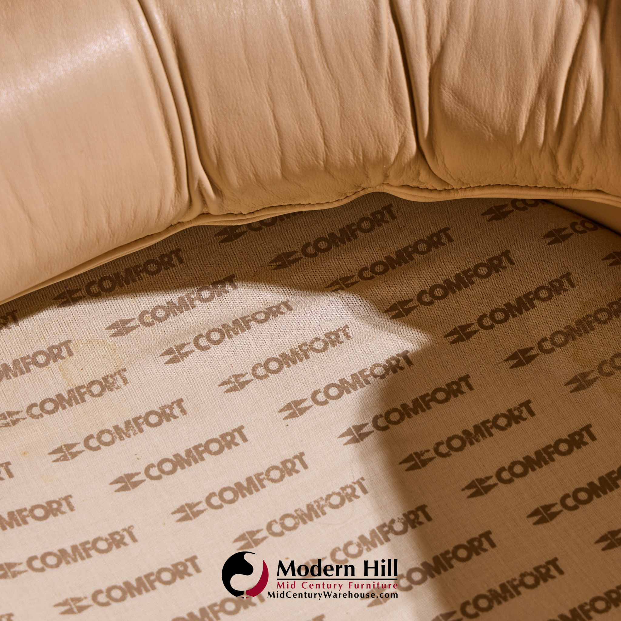 Joe Colombo for Comfort Model 1005 Mid Century Fiberglass and Leather Elda Lounge Chair